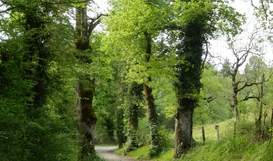 Chemin du Chastel