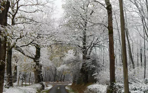 Pasli&egrave;res en images