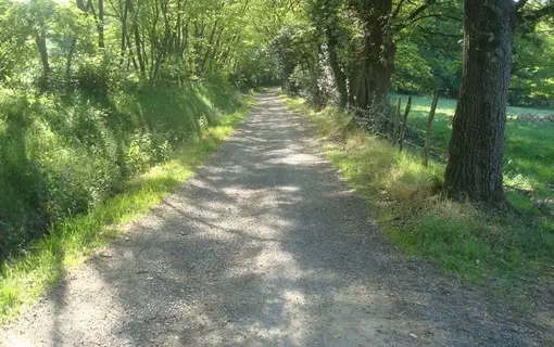 Pasli&egrave;res en images